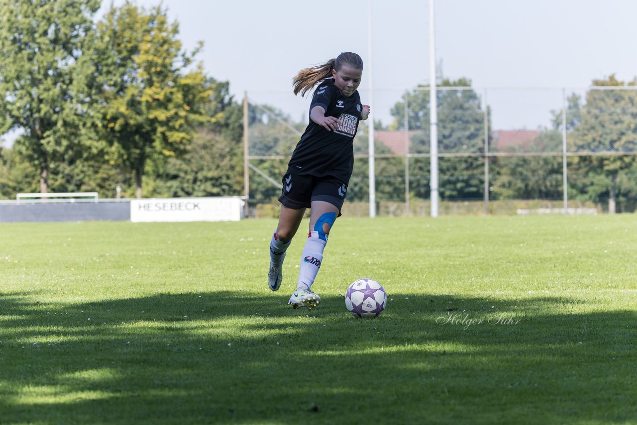 Bild 313 - wBJ SV Henstedt Ulzburg - FSG Oldendorf Itzehoe : Ergebnis: 2:5